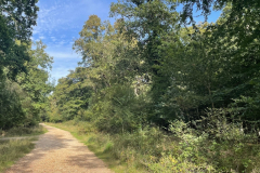 Churchplace Inclosure