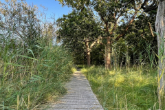 Beaulieu - Buckler's Hard boardwalk