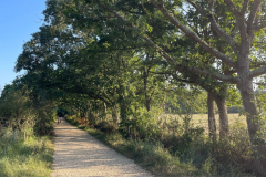 Beaulieu - Buckler's Hard footpath