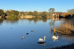 beaulieu_river2_1920