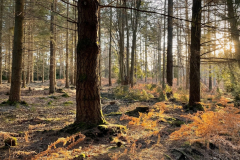 Highland water gallery - 976 - 1