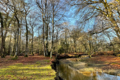 Highland water gallery - 976 - 2