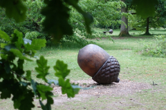 Rhinefield Arboretum