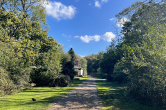 Castleman's Corkscrew