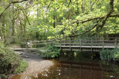 The Ober Water