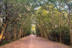 Holmesley