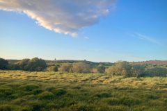 Holmesley