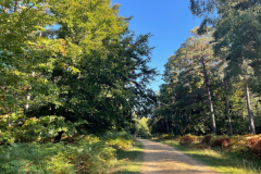 South Oakley Inclosure