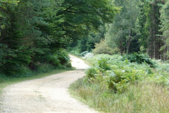 Anderwood