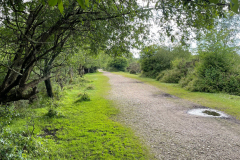 burley_turfhill2_976