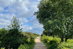 burley_turfhill4_976