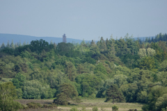 burley_turfhill8_976