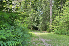 Holidays Hill