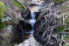 King's Garn Gutter Inclosure