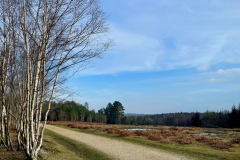 King's Garn Gutter Inclosure