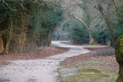 The path leading up Long Beech Hill