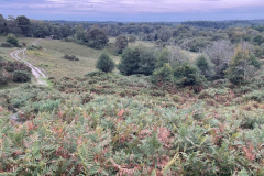 Acres Down