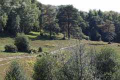 Acres Down