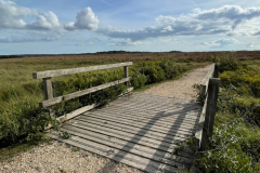 Shatterford Bottom