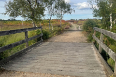 Bishop's Dyke