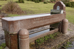Lyndhurst_explorer9_976