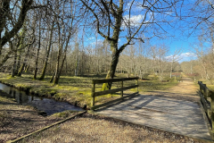 holmsley_bridge_976