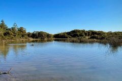 holmsley_ponds