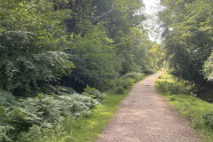 Beechen Lane