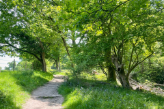 roydon6_976