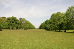 roydon8_976