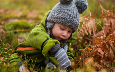 Five Tips for Walking with your Baby in the New Forest