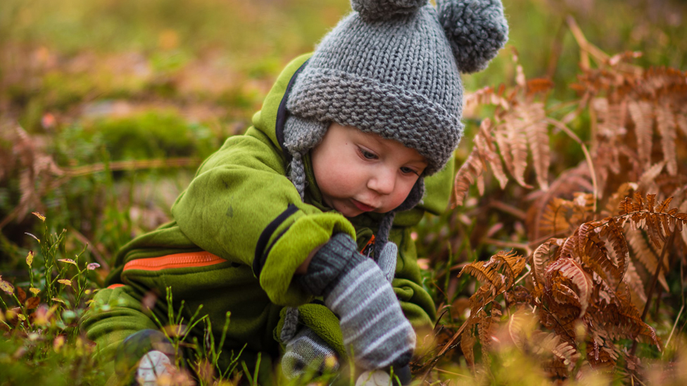 Five Tips for Walking with your Baby in the New Forest