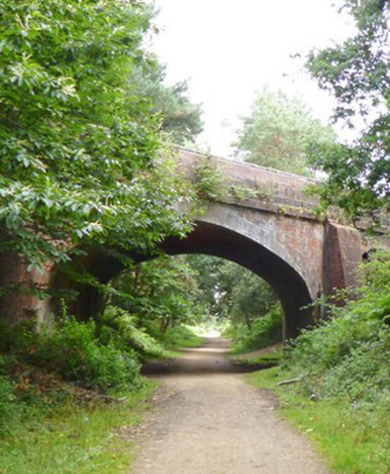 Sway station to Brockenhurst