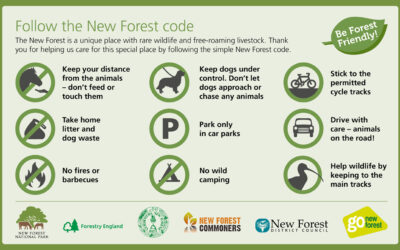 Light Footprints: How to help protect the New Forest.