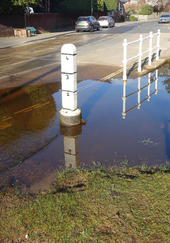 Brockenhurst New Forest Walks
