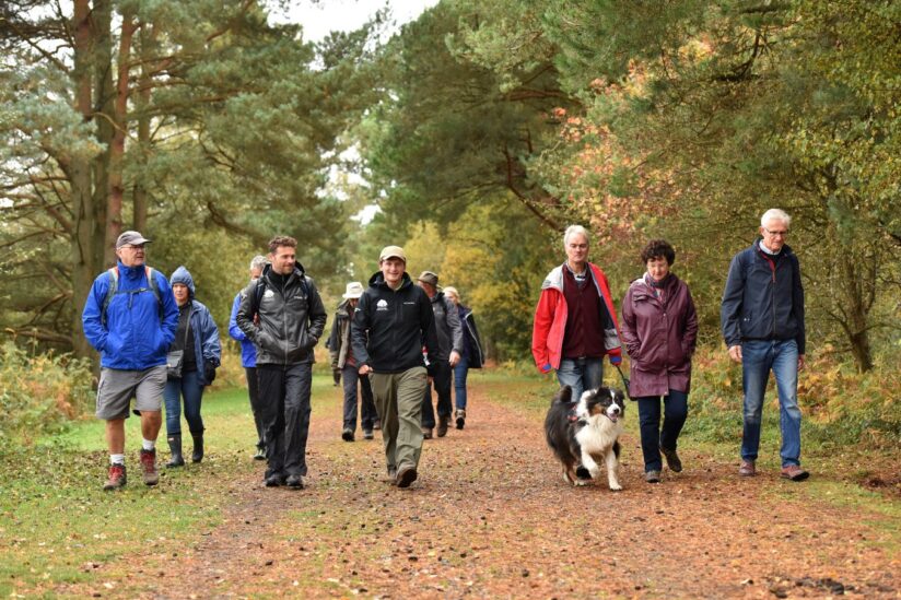 New Forest Walking and Cycling Festival 2023