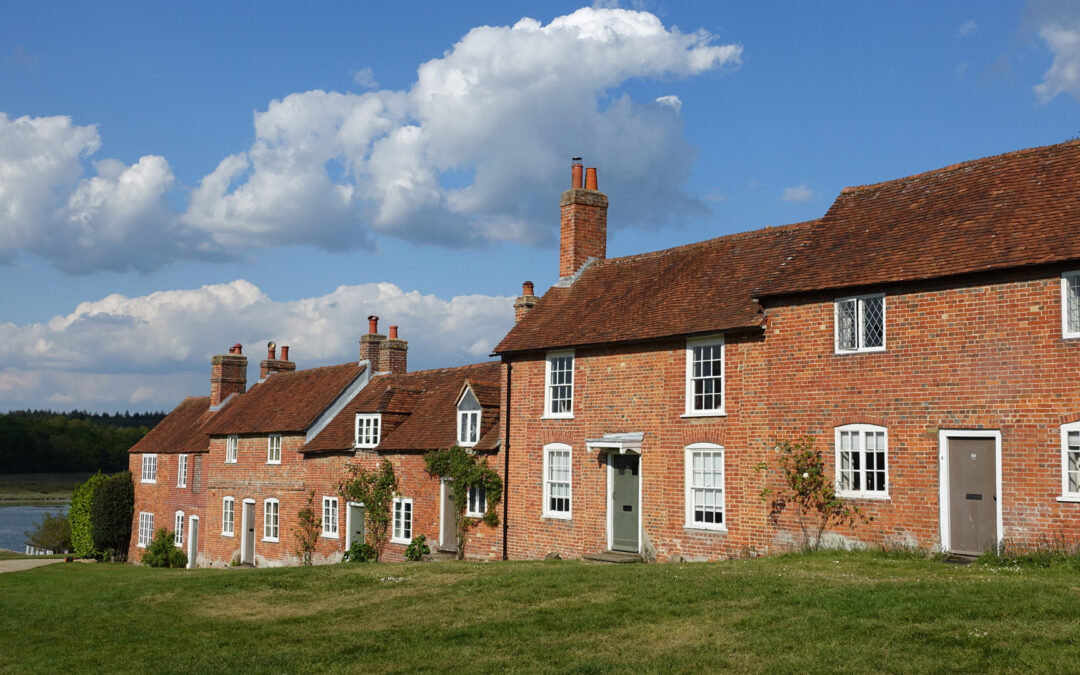 History walks in the New Forest