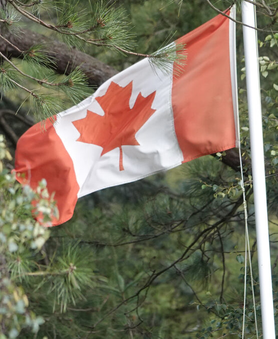 Bolderwood Canadian Memorial