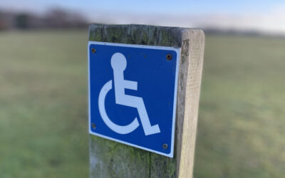 Accessible walks in the New Forest