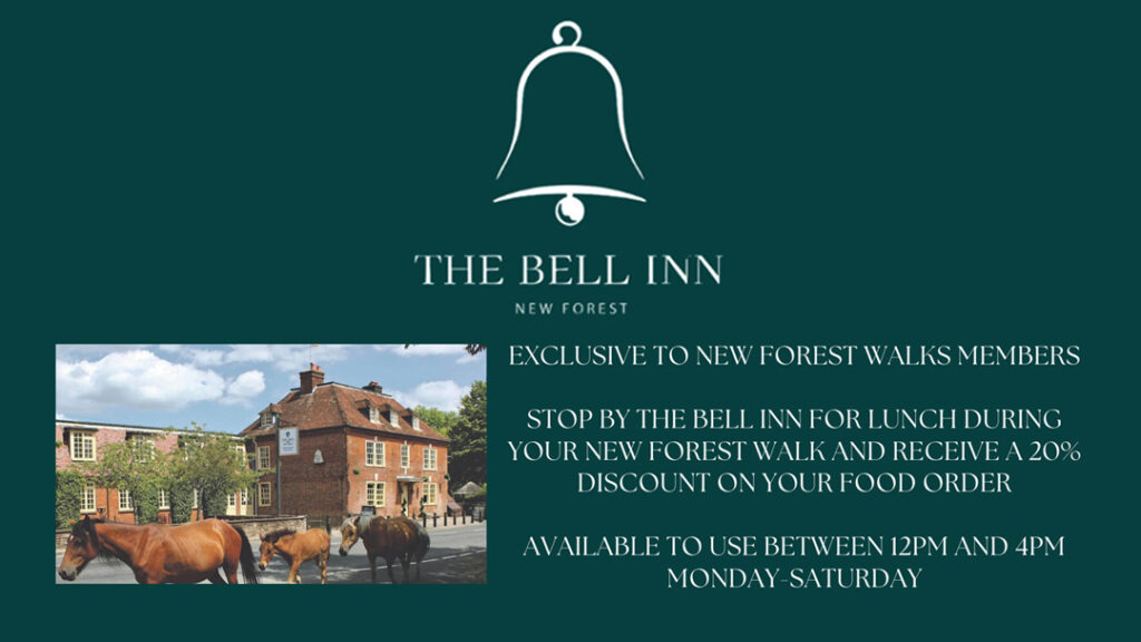 The Bell Inn - Exclusive offer for New Forest Walks members