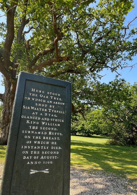 Rufus Stone - New Forest Walks