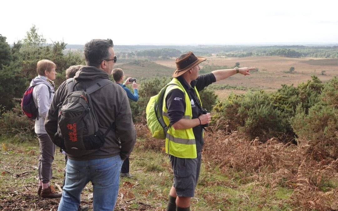 New Forest Walking Festival 2025