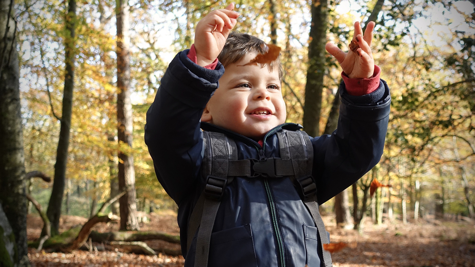 Toddler with falling leaves in autumn woodland