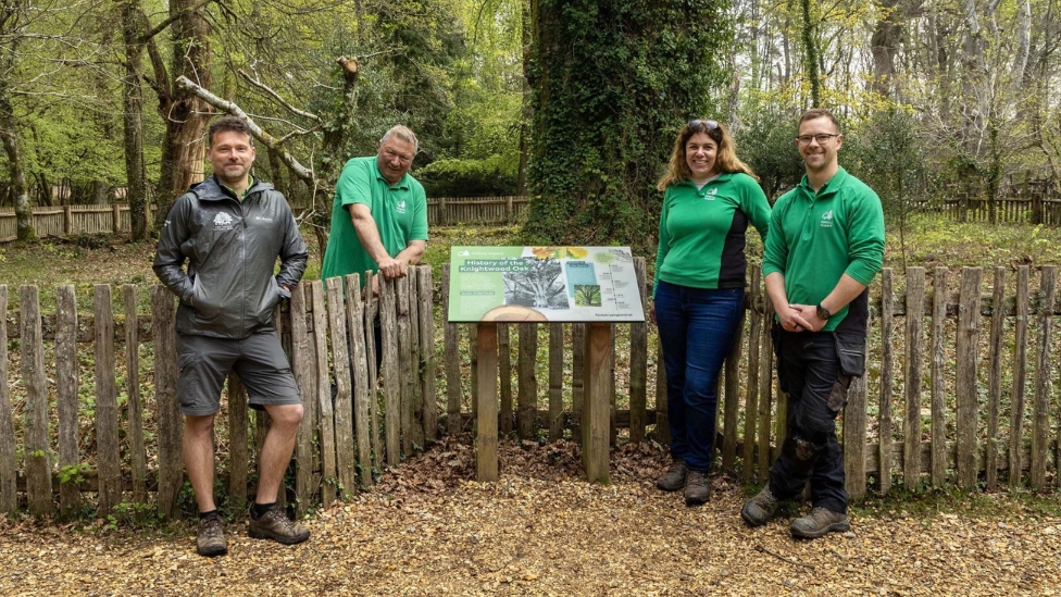New accessible trail for Knightwood Oak