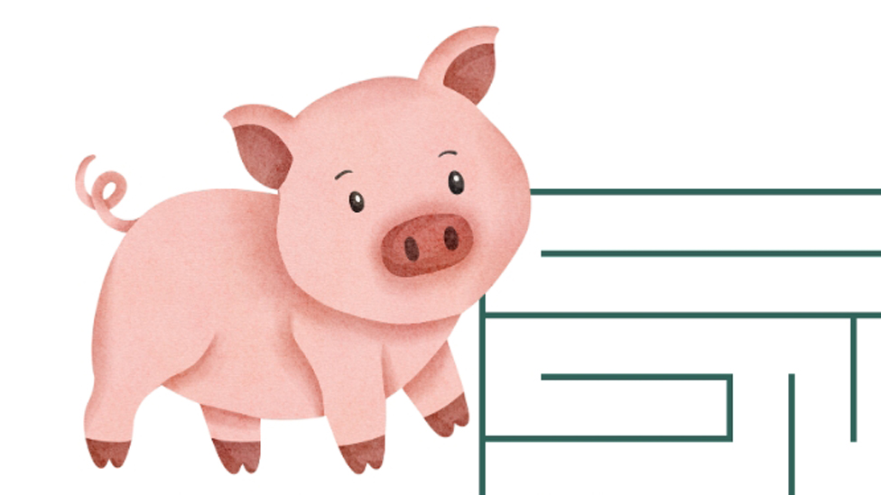 Draw a line to help the pannage piggie make his way to find the Pig maze