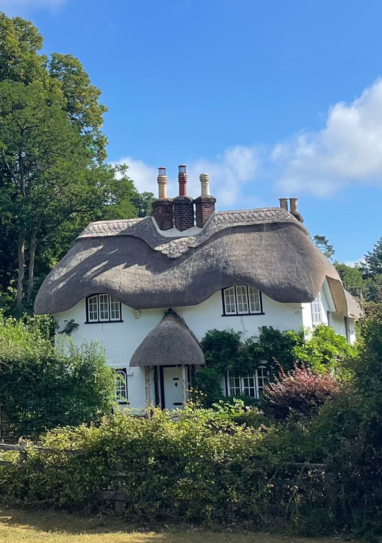 Swan Green