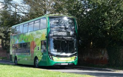 Bluestar 6 New Forest Breezer bus stop walks