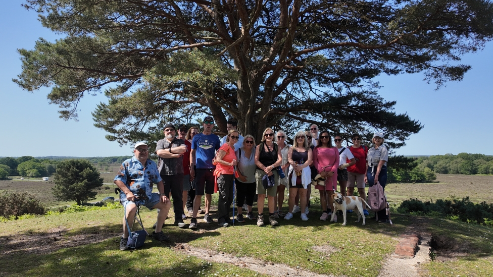 Walking group under a tree