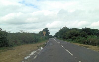 New Forest walking receives £200k boost
